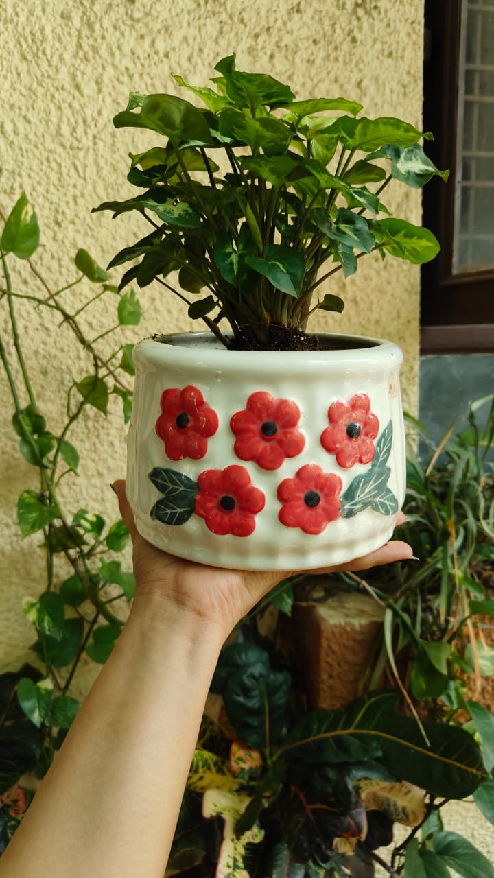 Red Flower White Ceramic Planter — owner photo 2